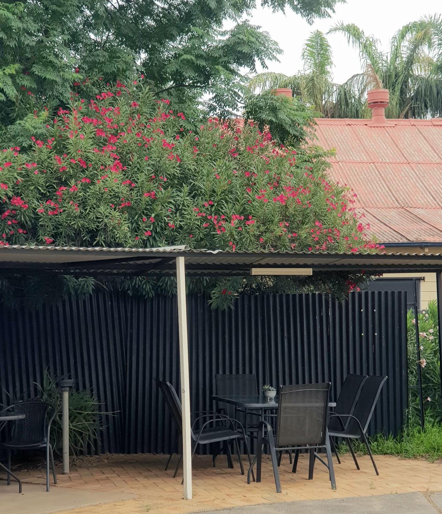 The Major Mitchell Motel Bourke Bagian luar foto